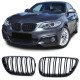 Body kit i vizualni dodaci RACES maska (Sport Double Bar) za BMW 2 Series F22 F23 14-16, sjajna | race-shop.hr