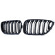 Body kit i vizualni dodaci RACES maska (Sport Double Bar) za BMW 2 Series F22 F23 14-16, sjajna | race-shop.hr