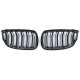 Body kit i vizualni dodaci RACES maska (Sport Double Bar) za BMW 3 series E92 E93 06-09, sjajna | race-shop.hr