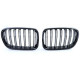 Body kit i vizualni dodaci Sportska rešetka duple letvice performance sjaj za BMW X3 F25 10-14 | race-shop.hr