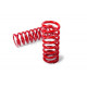 MTS Technik komplet Sportske opruge MTS Technik za Seat Leon I (1M1) 2000 - 08/05, 45 mm / 45 mm | race-shop.hr