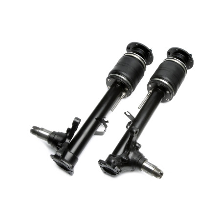 Zračni ovjes TA Technix set zračnog ovjesa za BMW 3.0 CS E9 | race-shop.hr