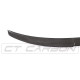 Body kit i vizualni dodaci CT CARBON stražnji spojler (V Style) za AUDI A3 S-LINE & S3 SPORTBACK 8V, karbon | race-shop.hr