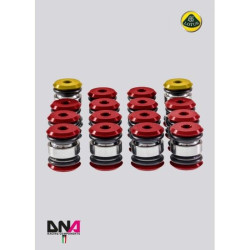 DNA RACING standardni komplet krakova ovjesa uniball (komplet) za LOTUS ELISE L4 TOYOTA (2004 -)