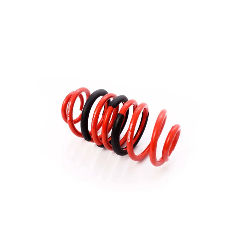 MTS Technik komplet MTS Technik opruga coilovera - GWFE30HA-01 | race-shop.hr