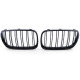 Body kit i vizualni dodaci Drivers side kidney grill for BMW X3 E83 (06-11) | race-shop.hr