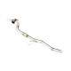 Down pipe, dump pipe Downpipe za VOLKSWAGEN Jetta Mk5 1.9, 2.0 TDI 2006-2011 | race-shop.hr
