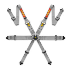 FIA 6 točkasti sportski sigurnosni pojasevi MOMO PRO DRIVER FHR 2"/3" (50/76mm), siva