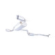 Ispušni sistemi XFORCE 3" Cat-Back System for FORD FOCUS 2006-2011 ST | race-shop.hr