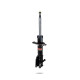Sportski amortizeri Pedders 8438R Sealed Strut | race-shop.hr