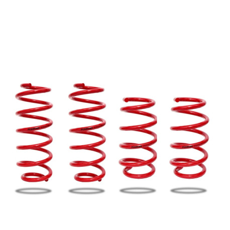 Pedders Pedders 803633 Lowering Kit Spring Only. Tesla Model 3 Rear Wheel Drive Models. 2017 on | race-shop.hr