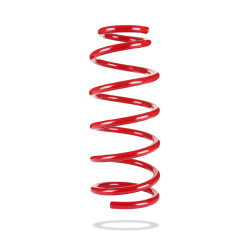 Pedders 7461 Trakryder Coil Spring