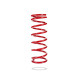 Pedders Pedders 7098R Heavy Duty Coil Spring | race-shop.hr