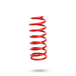 Pedders 290096L Trakryder Coil Spring
