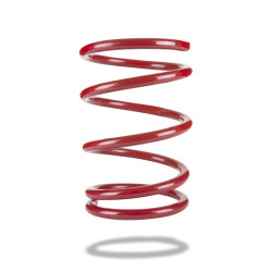 Pedders 220022 Sportsryder Coil Spring