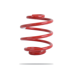 Pedders 2001 Sportsryder Coil Spring