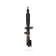 Sportski amortizeri Pedders 129158 Sealed Strut | race-shop.hr