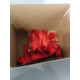 Bazar ECE 4 točkasti sigurnosni pojasi 2" (50mm) RACES, red RASPAKIRANO | race-shop.hr