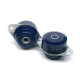 SuperPro SuperPro Rear Differential Mount Bush Kit for Triumph TR 4A/TR 5/TR 6 | race-shop.hr