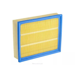 RYCO air filter A1434