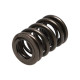 Dijelovi motora Manley Valve Spring HONDA H22 V-TEC | race-shop.hr