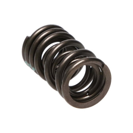 Dijelovi motora Manley Valve Spring MITSUBISHI 4G63/T | race-shop.hr