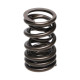 Dijelovi motora Manley Valve Spring MITSUBISHI 4G63/T | race-shop.hr