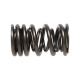 Dijelovi motora Manley Valve Spring MITSUBISHI 4G63/T | race-shop.hr
