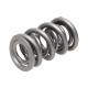 Dijelovi motora Manley Valve Spring 1.500 DOUBLE | race-shop.hr