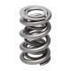 Dijelovi motora Manley Valve Spring 1.500 DOUBLE | race-shop.hr