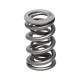 Dijelovi motora Manley Valve Spring 1.324 DOUBLE | race-shop.hr