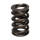 Dijelovi motora Manley Valve Spring 1.640 DOUBLE | race-shop.hr