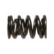 Dijelovi motora Manley Valve Spring 1.640 DOUBLE | race-shop.hr
