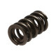 Dijelovi motora Manley Valve Spring 1.640 DOUBLE | race-shop.hr