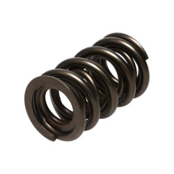 Manley Valve Spring 1.640 DOUBLE