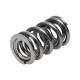 Dijelovi motora Manley Valve Spring 1425 POLISHED | race-shop.hr