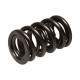 Dijelovi motora MANLEY opruge ventila (dvostruke), 40,13 mm, 1 kom | race-shop.hr
