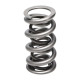 Dijelovi motora Manley Valve Spring 1.540 DOUBLE | race-shop.hr
