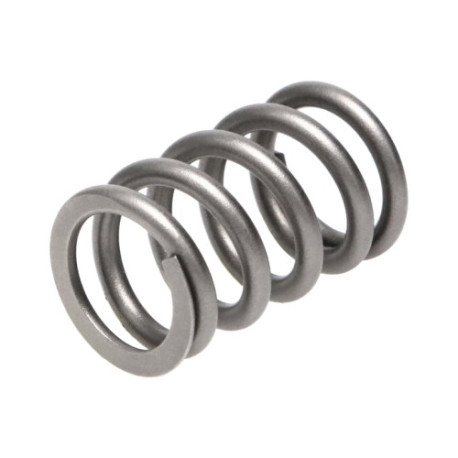 Dijelovi motora Manley Valve Spring SUBARU WRX | race-shop.hr