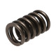 Dijelovi motora Manley Valve Spring 1.250 SINGLE | race-shop.hr
