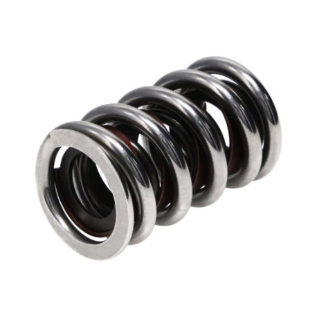 Dijelovi motora Manley Valve Spring 1.550 CHR SIL | race-shop.hr