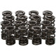 Dijelovi motora Manley Valve Spring/Retainer Kit Honda K20A/Z | race-shop.hr