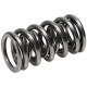 Dijelovi motora Manley Valve Spring/Retainer Kit/Locator/Lock/Seal Chevy LT4 | race-shop.hr