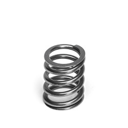 SUPERTECH Valve Spring Set Honda J30/32/35