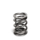 Dijelovi motora SUPERTECH Valve Spring Set Ford/Opel/Mits/Ren/Nis/Sub | race-shop.hr