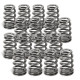 Dijelovi motora SUPERTECH Valve Spring Set Toy 1JZ/2JZ | race-shop.hr