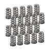 SUPERTECH Behive Valve Spring Set Audi 2.5L 20v EA855