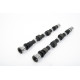 Dijelovi motora Piper Camshaft Nissan 1.6/1.8/2.0L 8v J SERIES Fast Road | race-shop.hr