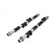 Dijelovi motora Piper Camshaft Peugeot/Citroen 1.9L 16v XU9J4 Fast Road | race-shop.hr