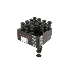 PIPER CAMS opruge ventila za Renault 1.8L F7P / 2.0L F7R 16v (dvostruke, s tanjurićima)
